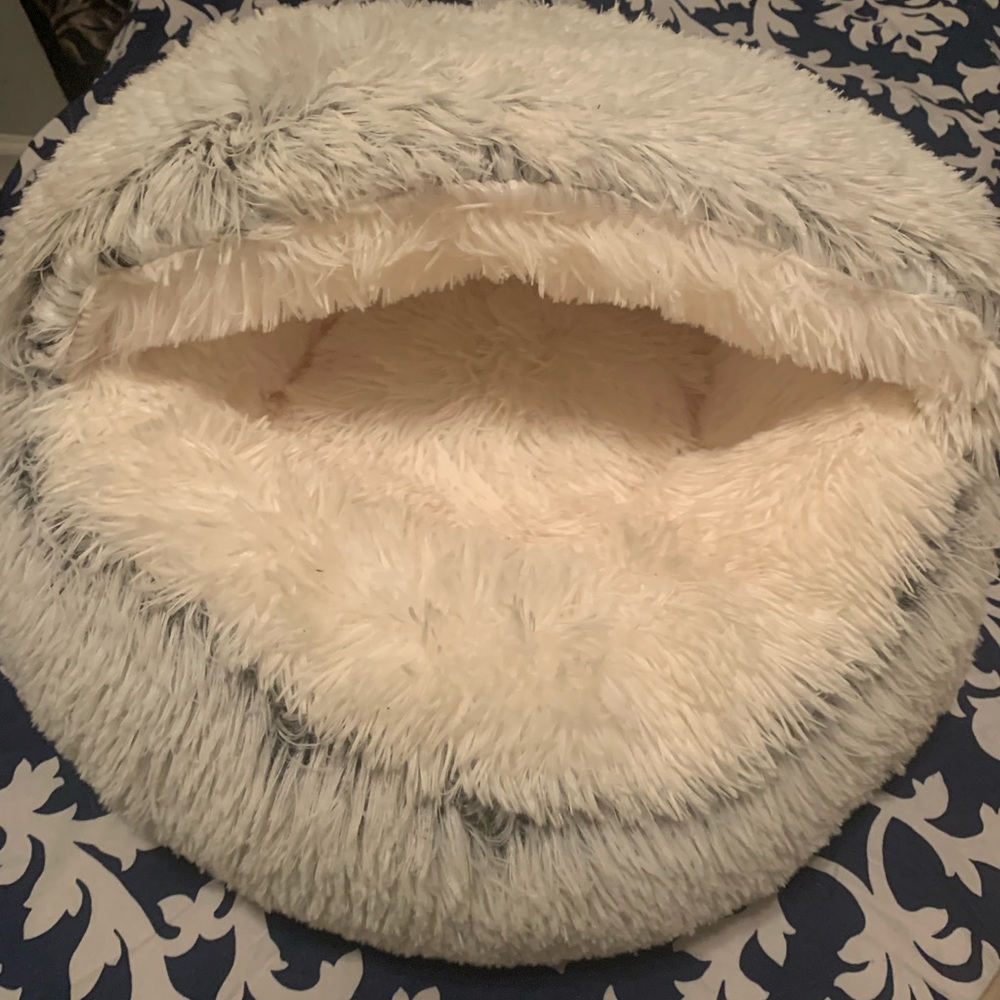 Pet bed